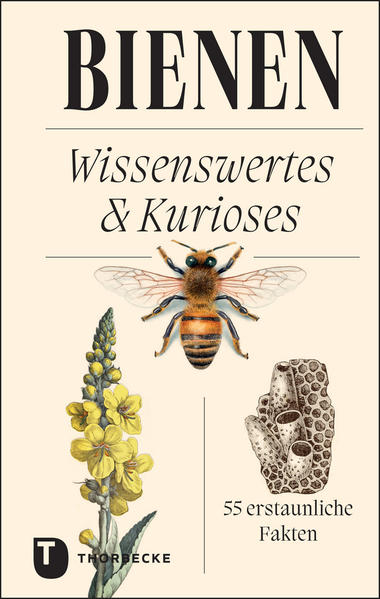 9783799515498 9783799515498