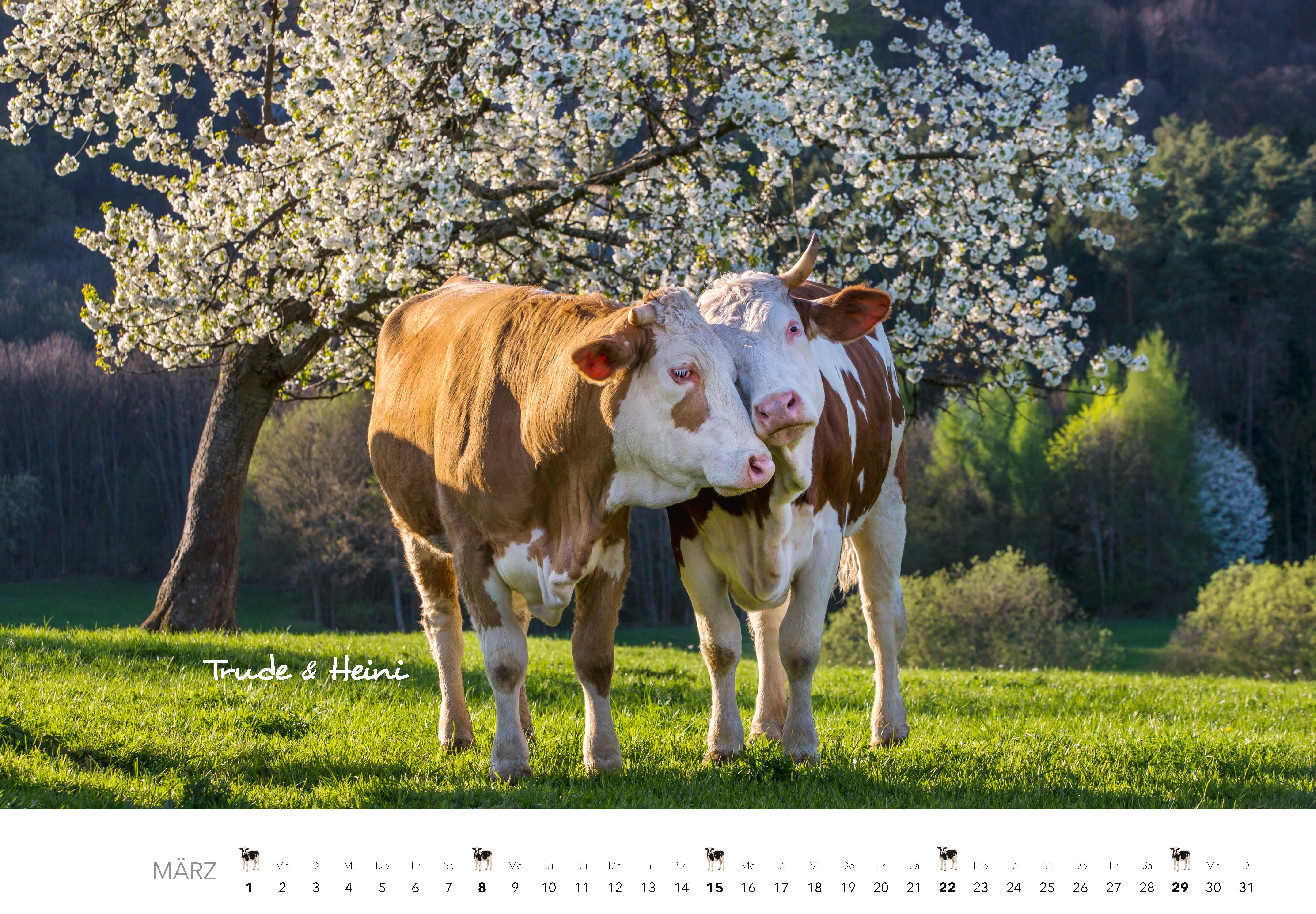 9783966649582_innenansicht_03 9783966649582_innenansicht_03.jpg