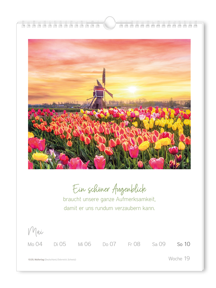 9783986361853_innenansicht_09.png