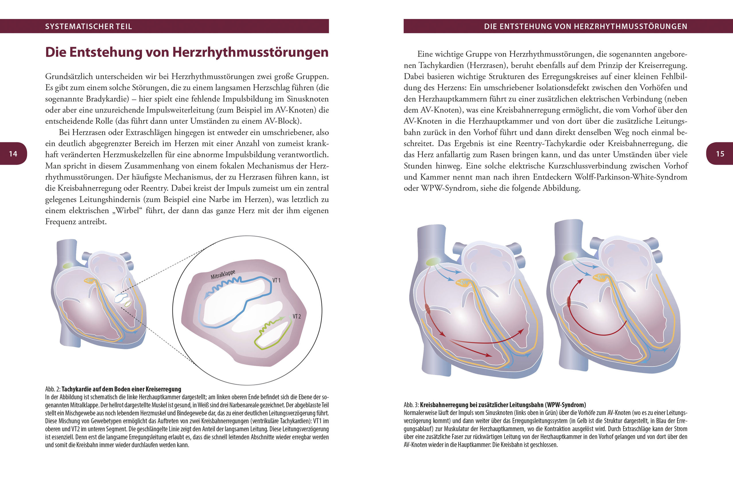 9783517096780_innenansicht_01 9783517096780_innenansicht_01.jpg