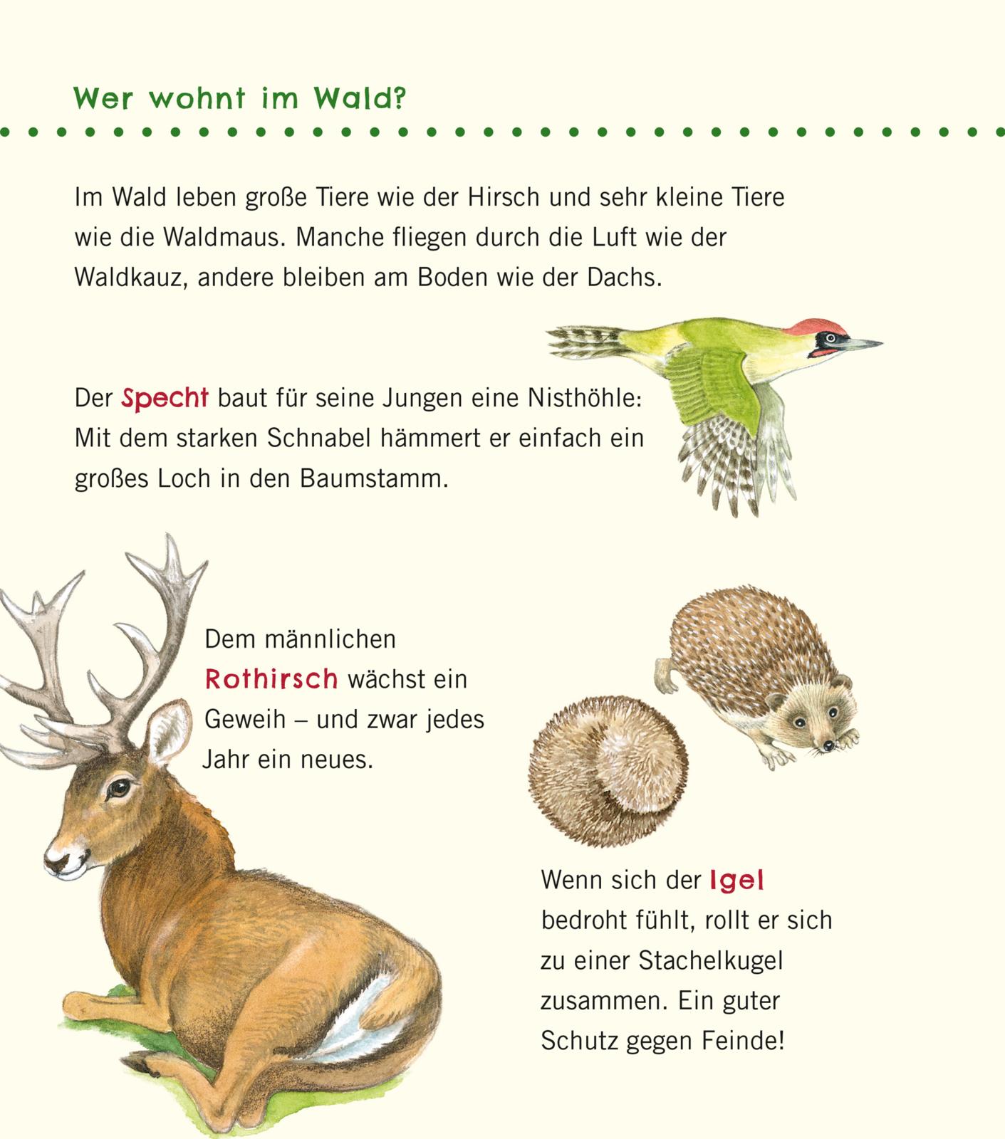 9783551036087_innenansicht_07.jpg