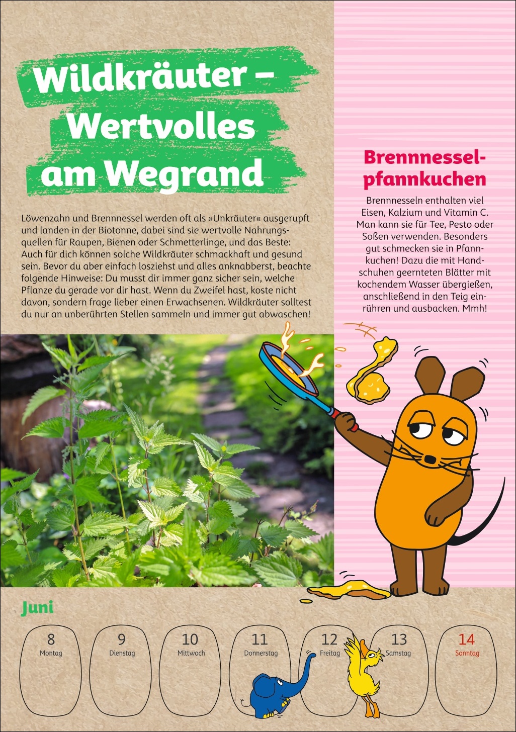 9783840037986_innenansicht_05.jpg
