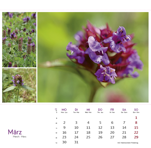 9783861925163_innenansicht_03 9783861925163_innenansicht_03.jpg