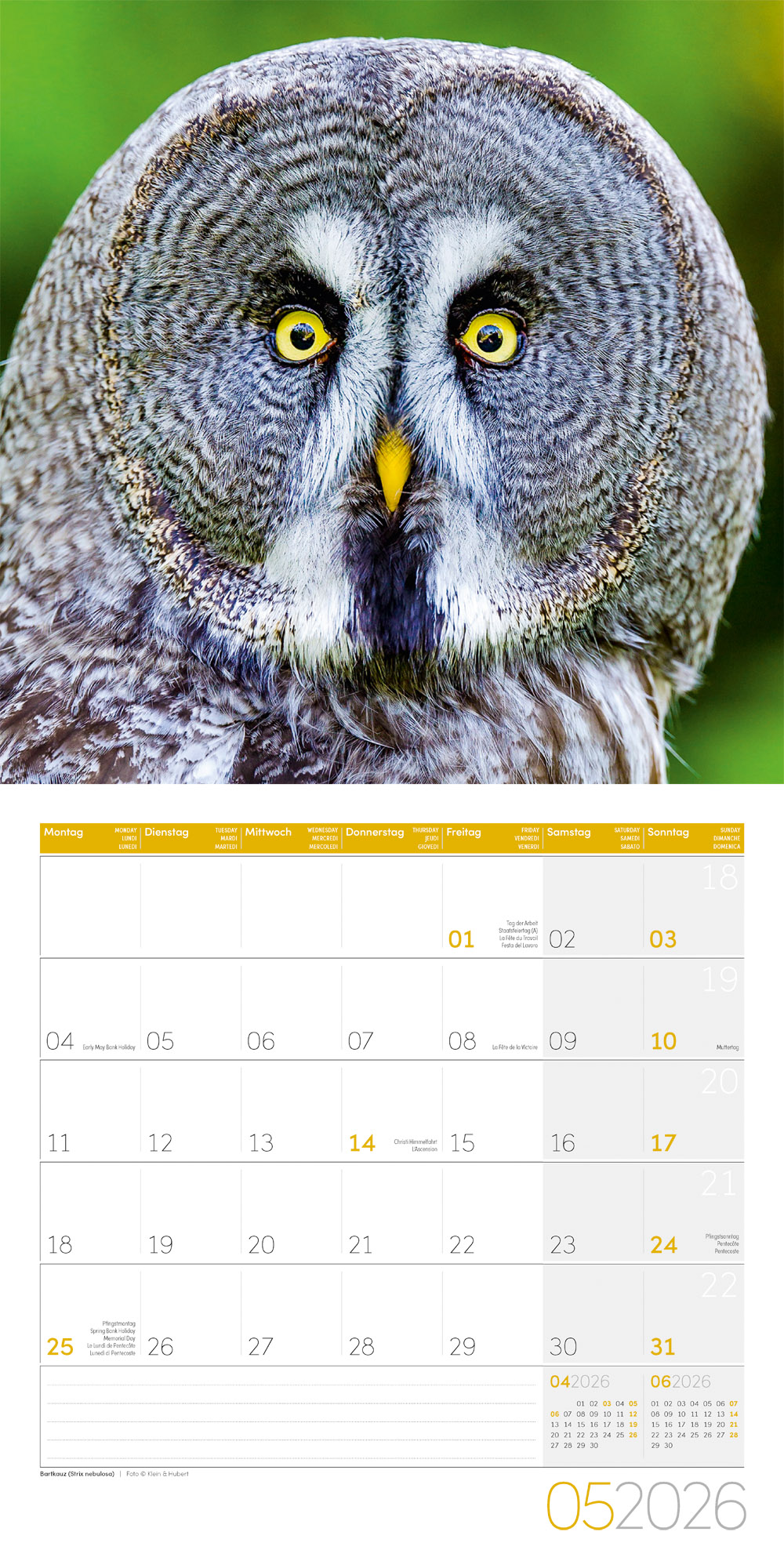 9783838446240_innenansicht_05 9783838446240_innenansicht_05.jpg