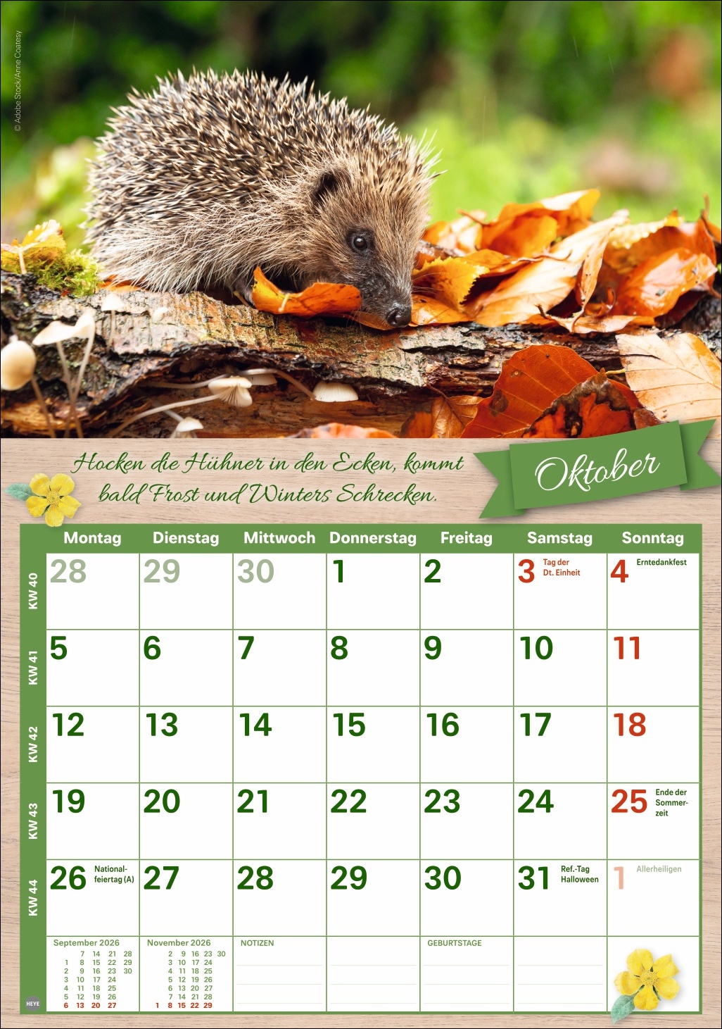 9783756412440_innenansicht_10 9783756412440_innenansicht_10.jpg