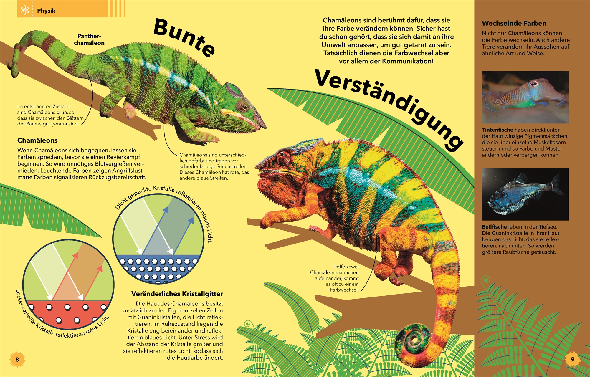 9783831042005_innenansicht_03 9783831042005_innenansicht_03.jpg