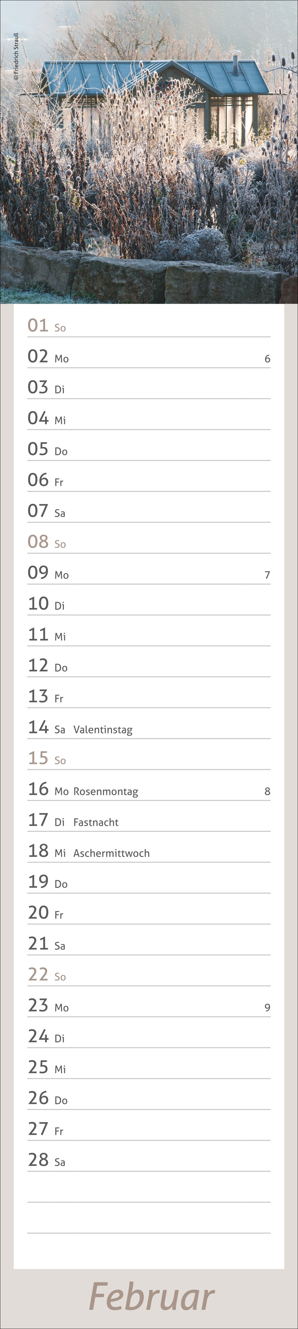 9783756412921_innenansicht_02.jpg