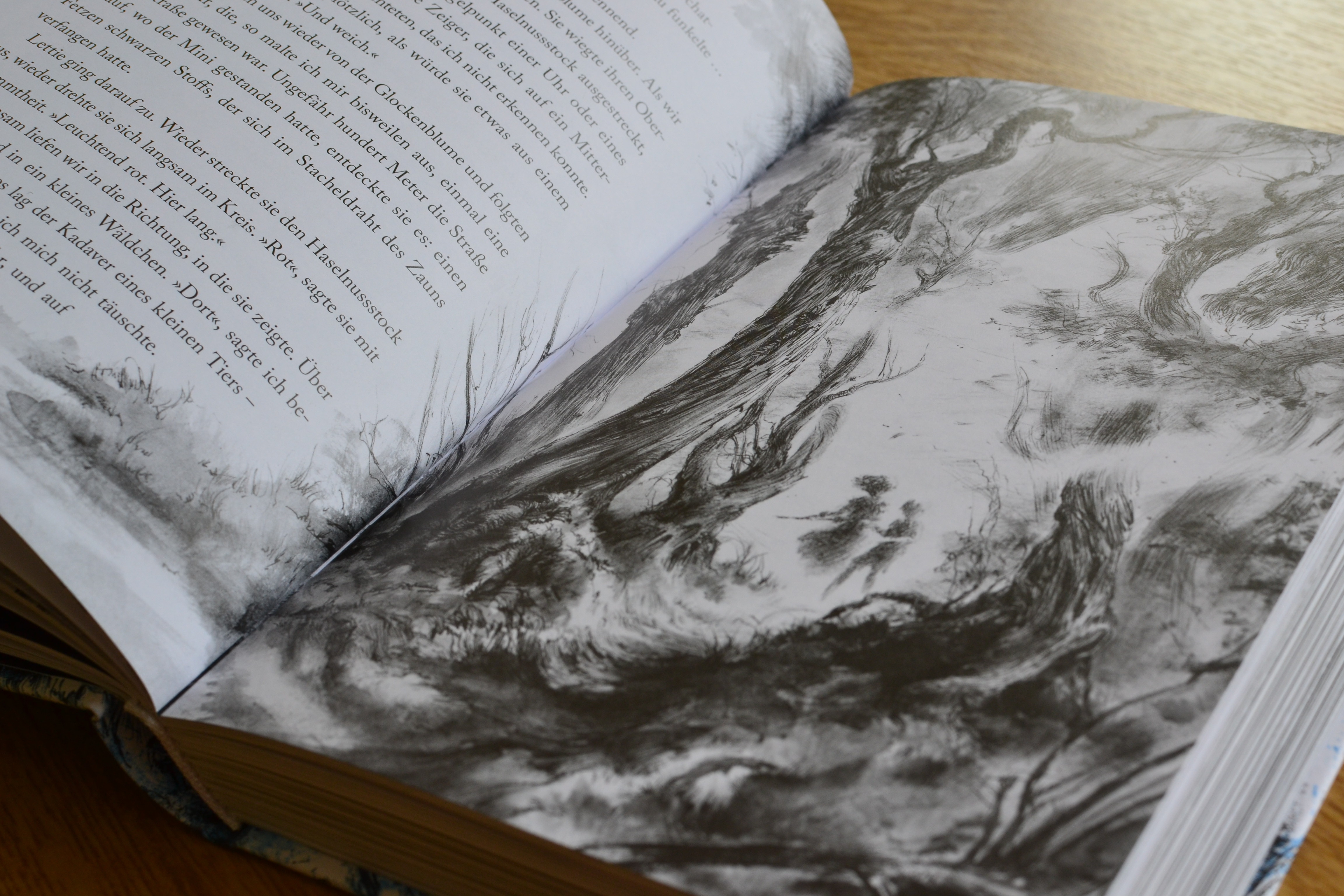 9783847900719_innenansicht_05.jpg 9783847900719_innenansicht_05.jpg