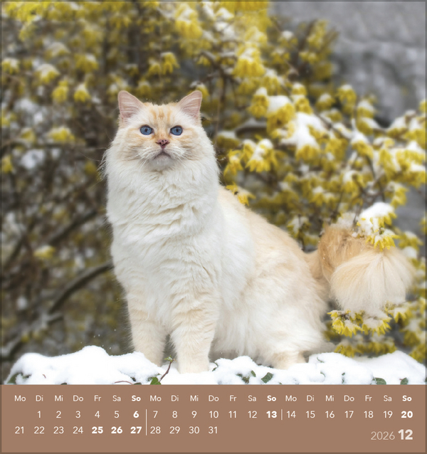 9783731884071_innenansicht_12 9783731884071_innenansicht_12.jpg