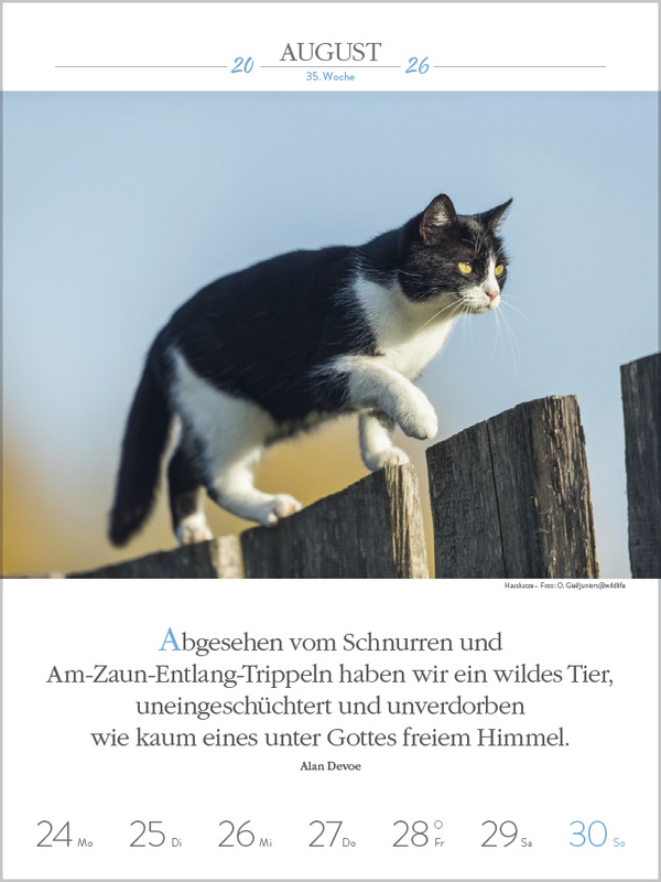 9783731884354_innenansicht_07.jpg