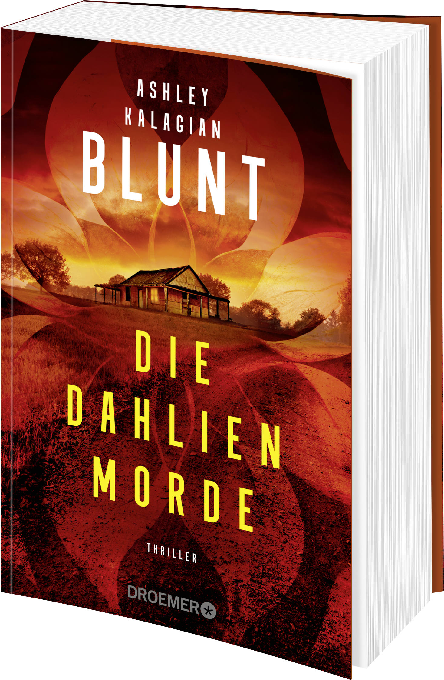 9783426309292_weiterecover_01 9783426309292_weiterecover_01.png