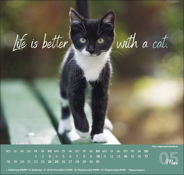 9783731888482_innenansicht_05 9783731888482_innenansicht_05.jpg