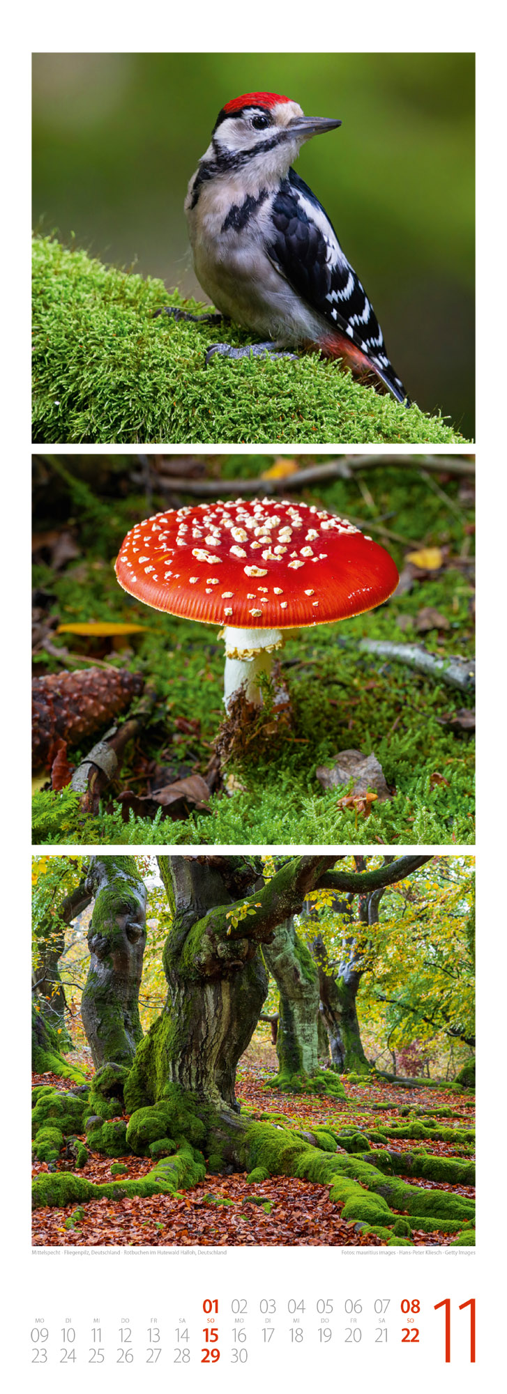 9783838426365_innenansicht_11 9783838426365_innenansicht_11.jpg