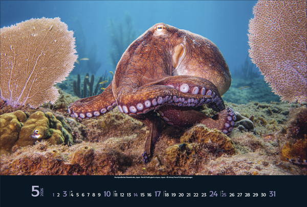 9783731888161_innenansicht_05 9783731888161_innenansicht_05.jpg