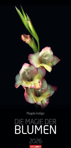 9783839902523 9783839902523