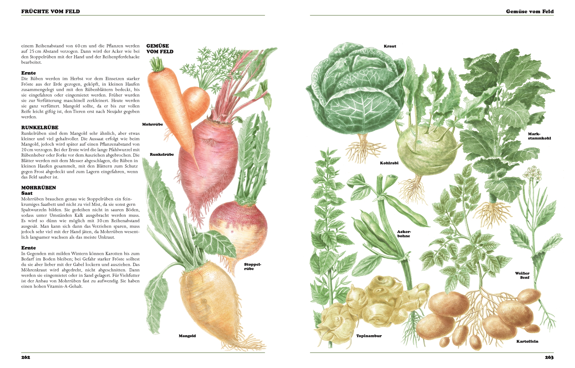 9783831038961_innenansicht_02 9783831038961_innenansicht_02.jpg