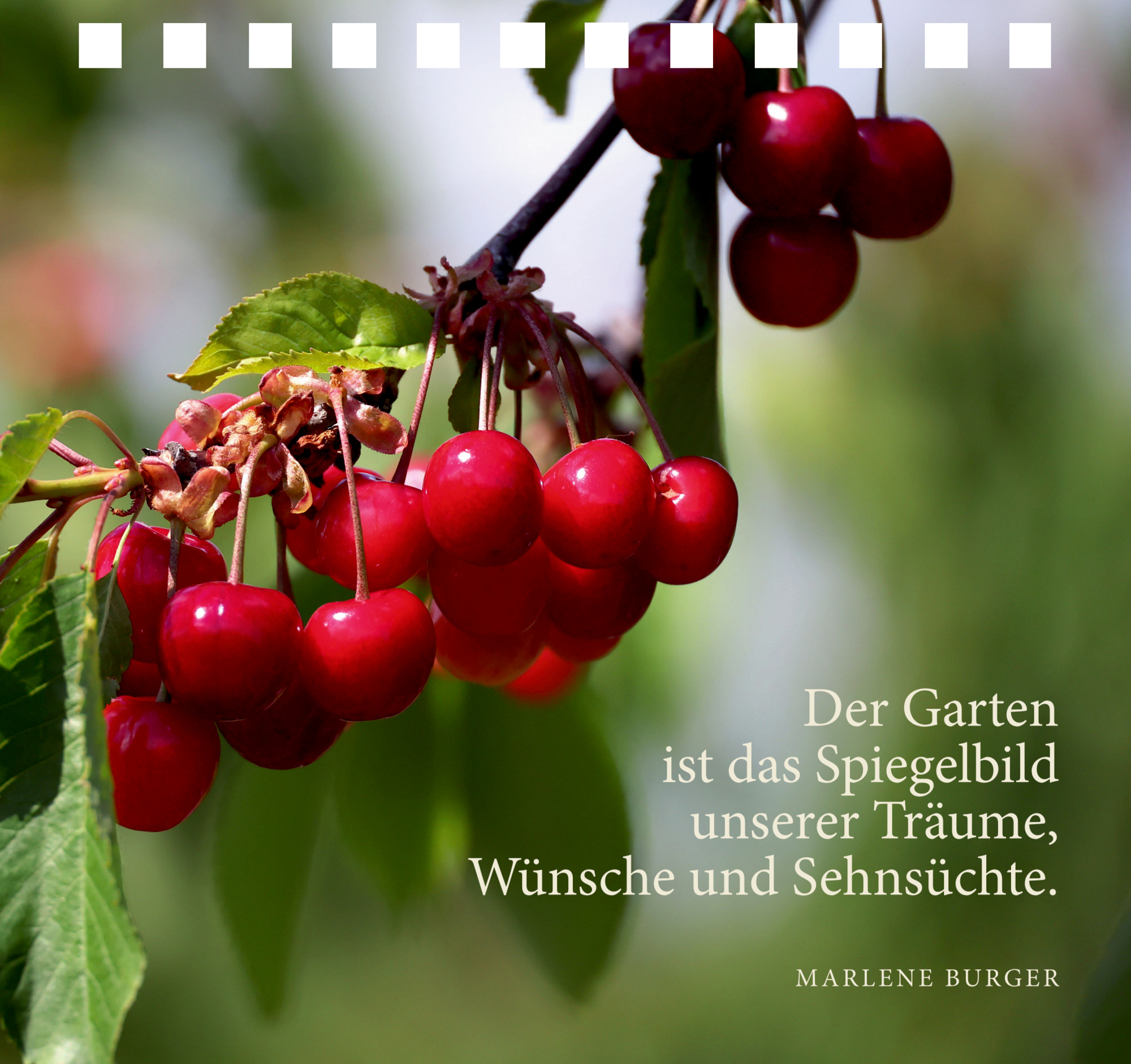 9783649648772_innenansicht_04.jpg