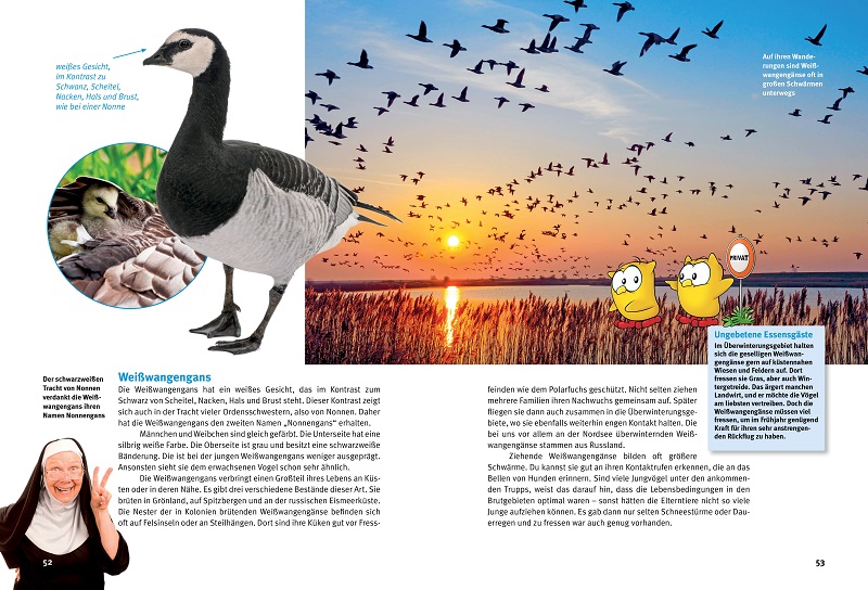 9783866594906_innenansicht_03 9783866594906_innenansicht_03.jpg