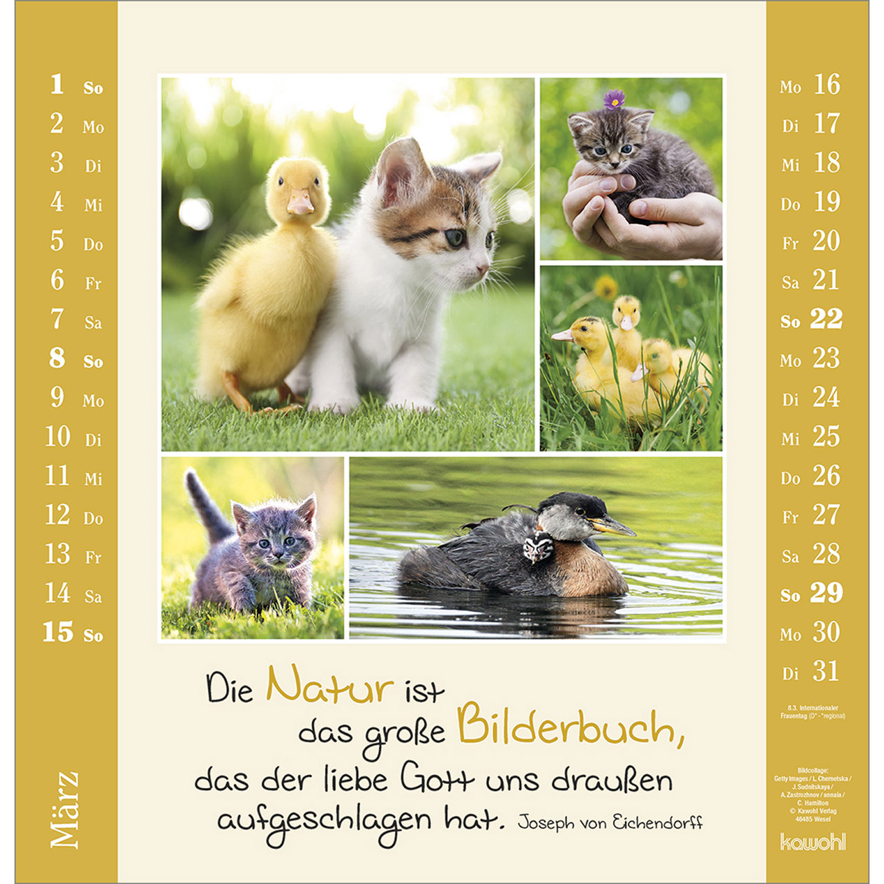 9783754829967_innenansicht_03.jpg