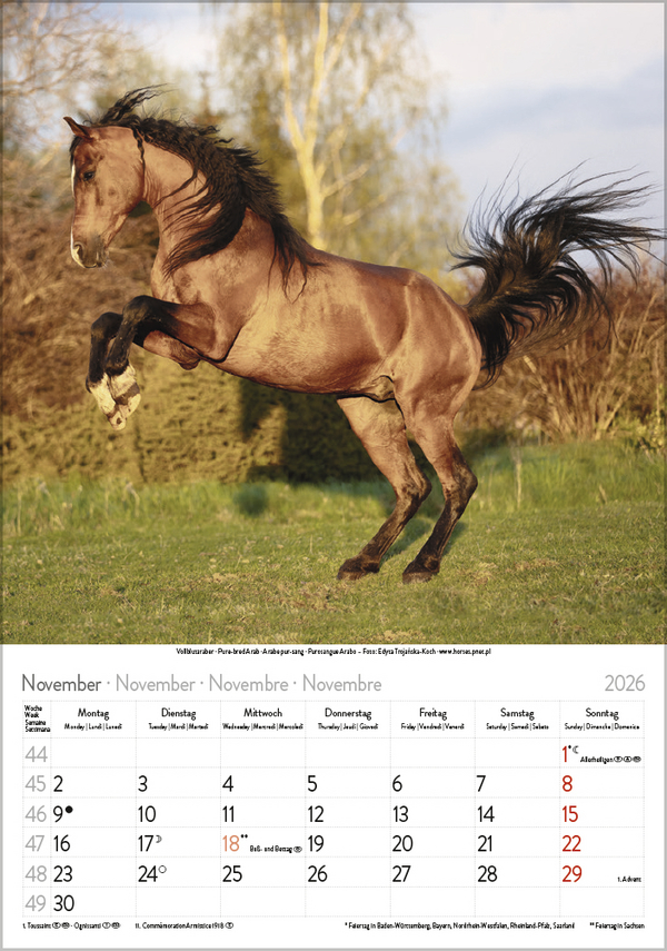 9783731883623_innenansicht_11 9783731883623_innenansicht_11.jpg