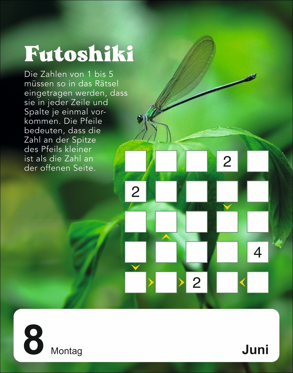 9783840037566_innenansicht_01 9783840037566_innenansicht_01.jpg