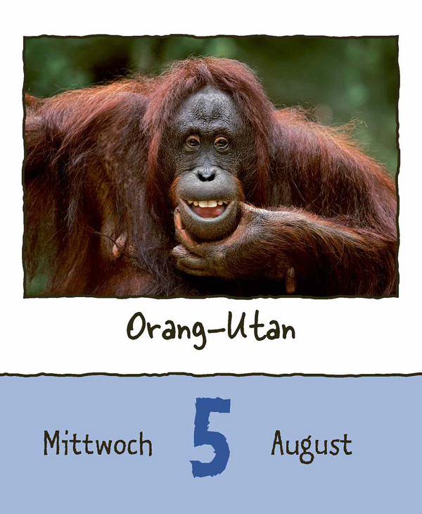 9783731889182_innenansicht_11.jpg
