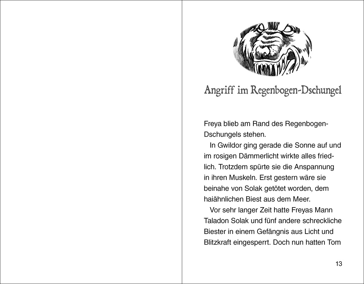 9783743217485_innenansicht_01.jpg