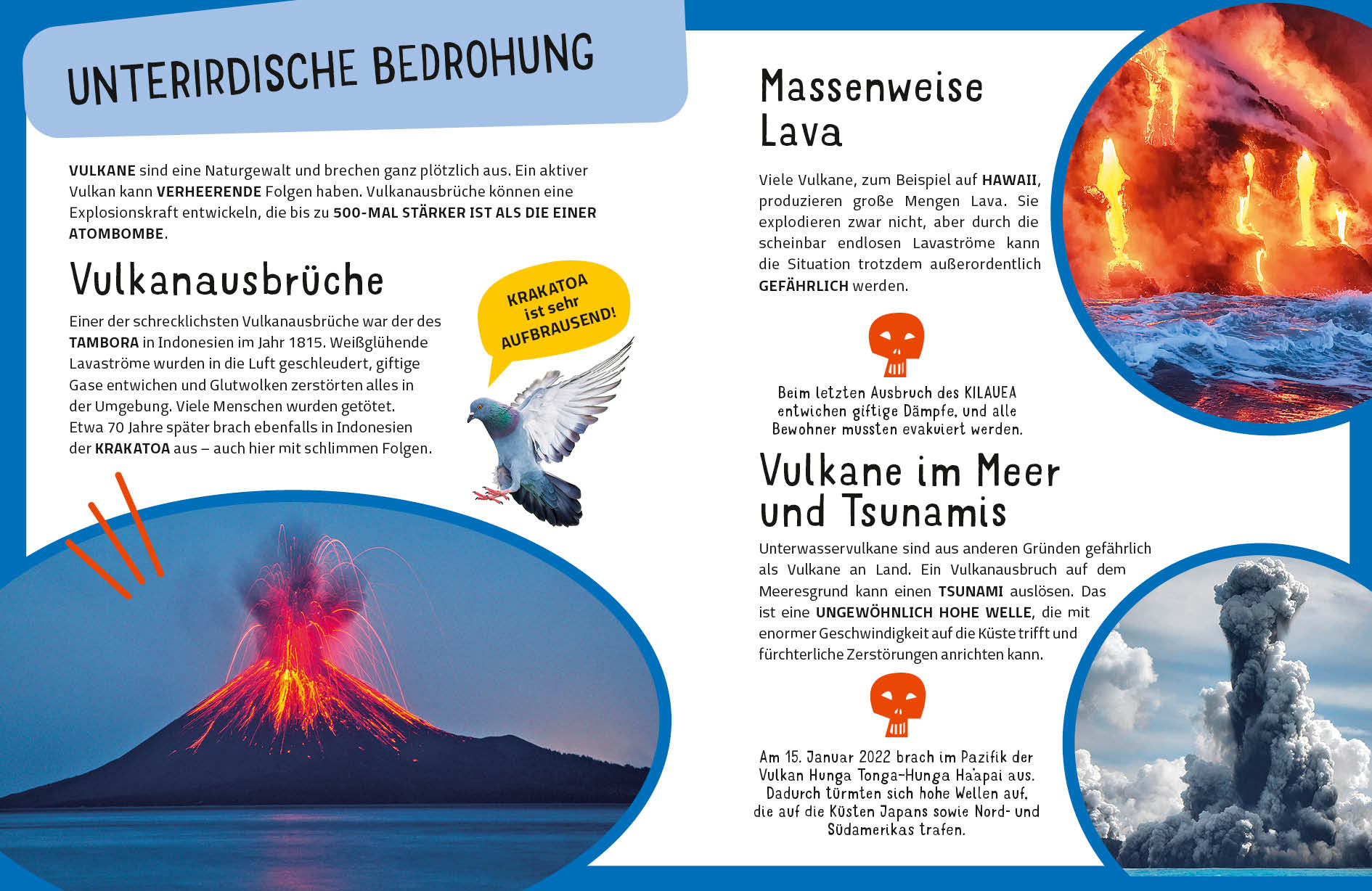 9788863127270_innenansicht_05.jpg
