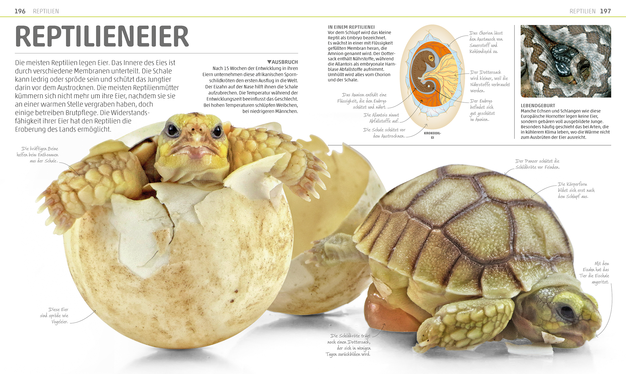 9783831035557_innenansicht_06 9783831035557_innenansicht_06.jpg