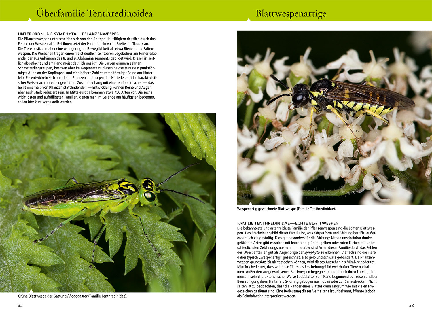 9783440179826_innenansicht_02 9783440179826_innenansicht_02.jpg