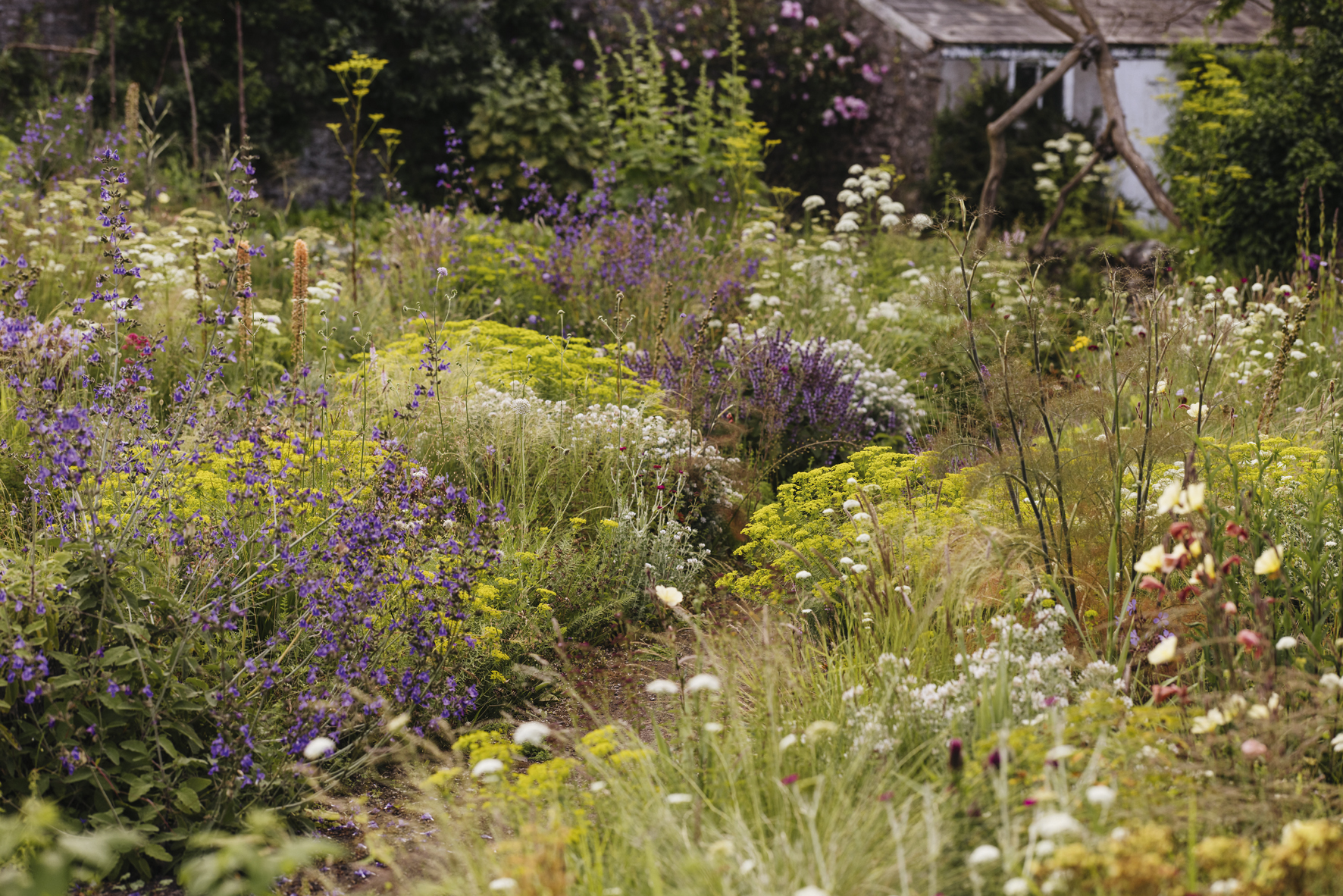 9783961717224_innenansicht_09 9783961717224_innenansicht_09.jpg