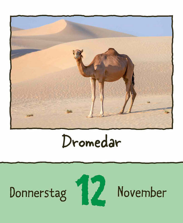 9783731889182_innenansicht_15.jpg